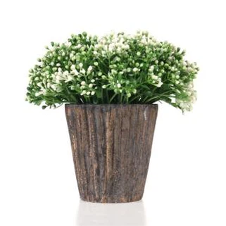 Bonsai Gléasra Glas Eco-chairdiúil