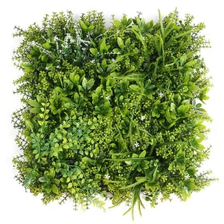 Rolla Mata Boxwood falsa