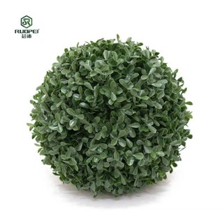 Liathróidí Boxwood Móra Saorga