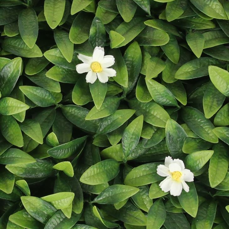 UV Resistant Plastic Plant Panel