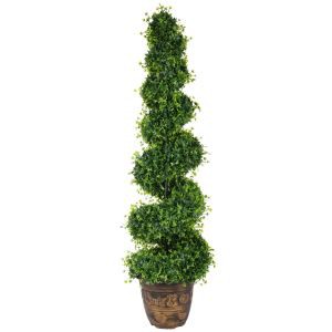 Crainn Topiary Saorga Boxwood